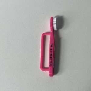 Carebear Doll TOOTHBRUSH Toy